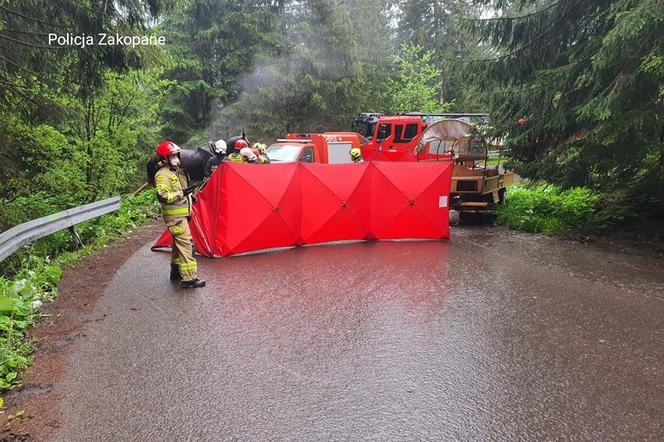 Wypadek zaprzęgu na drodze do Morskiego Oka