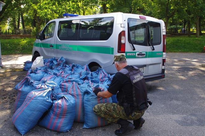 Nielegalny towar za ponad pół miliona złotych znaleziony w garażu w Koszalinie