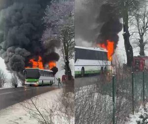 Autobus stanął w płomieniach! Kierowca w porę zatrzymał pojazd