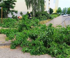 Burze nawiedziły województwo kujawsko-pomorskie. Zdjęcia z akcji strażaków