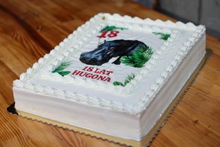 Hugo z ZOO baluje! Hipopotam z Warszawy ma 18 lat i dowód osobisty