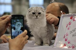 Zoopark 2023 w Lublinie