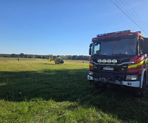 Tragedia na drodze. Wjechał w krowę motocyklem. Zwierzę nie żyje, lądował śmigłoiwec LPR