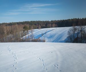 Ferie zimowe nie tylko w górach. Te kierunki także zachwycą zimowymi atrakcjami