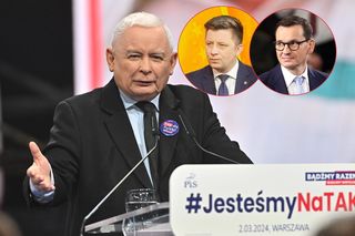 800 plus do likwidacji?! Postulat wraca z zaskakującej strony! Tego się nie spodziewaliśmy
