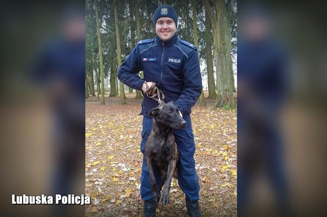 gorzów policja Peri 2