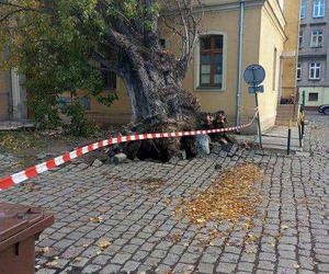 Polska pod naporem wichur! Strażacy nie mieli chwili wytchnienia