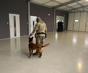  Psi saperzy znowu jadą na Ukrainę. Będą pomagać żołnierzom na froncie