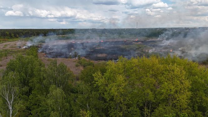 Wołomin: Płonie Natura 2000. Dym widać z wielu kilometrów