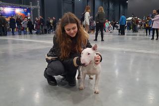 Międzynarodowa Wystawa Psów Rasowych w Bydgoszczy