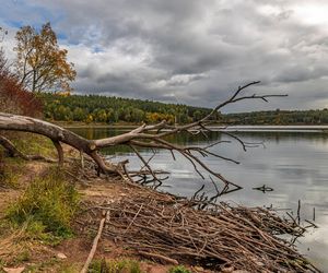 Zalew Wióry. Odkrycie tropów dinozaurów i 101 zalanych domów