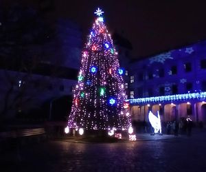 Skromne iluminacje świąteczne w Szczecinie