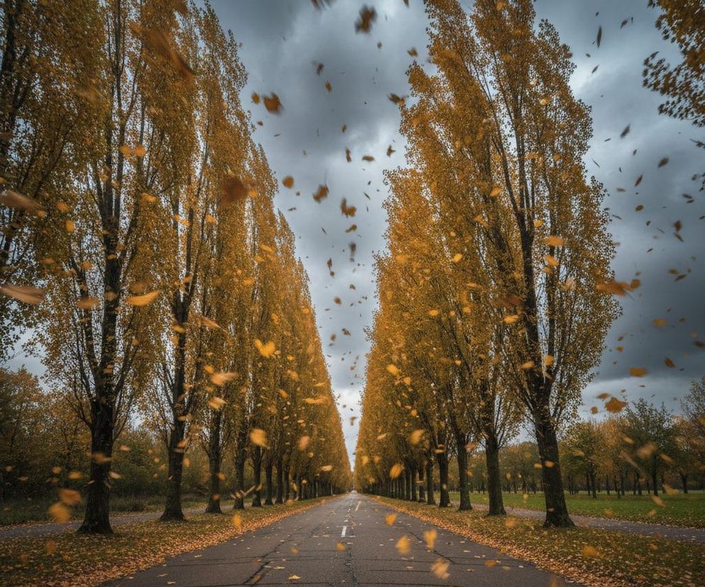 Uwaga! Silny wiatr nad Lesznem może zaskoczyć mieszkańców – IMGW wydaje alert