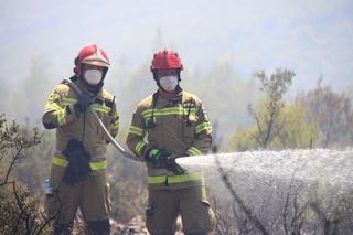 Polacy gaszą pożary w Grecji! Dowódcą strażak z naszego regionu