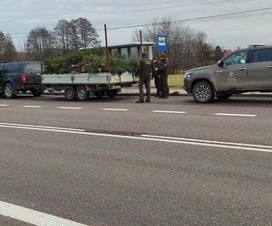 Policjanci wraz ze strażą leśną patrolują lasy w woj. lubelskim. Pilnują, by nikt nie ukradł choinek 