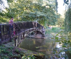 tłumy spokojnie spacerujących spacerowiczów w Pszczynie ZDJĘCIA