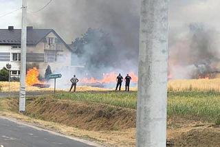 Walka z pożarem trwała kilka godzin