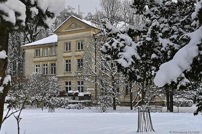 Zima 2021 w Sopocie. Kurort pod grubą warstwą śniegu 11.02.2021 r.
