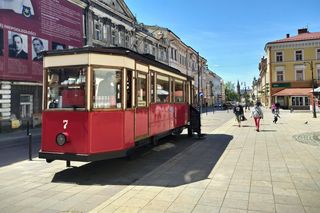 Prace wreszcie ruszyły. Powstaje pierwsza OAZA ZIELENI w Tarnowie