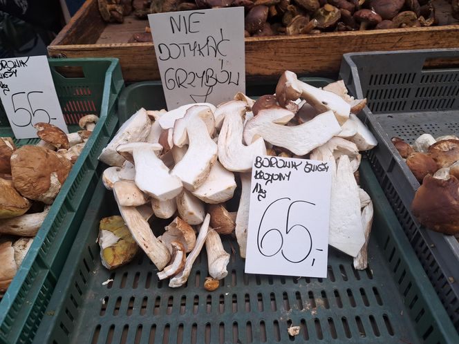 Ceny grzybów na Nowym i Starym Kleparzu w Krakowie
