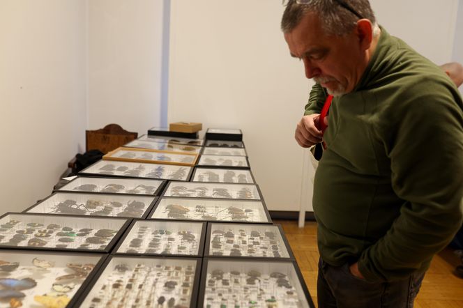 I Międzynarodowy Dzień Wymiany Owadów i Targi Entomologiczne w Bytomiu