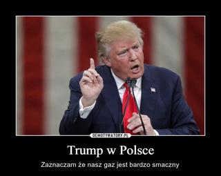 Trump w Polsce: MEMY