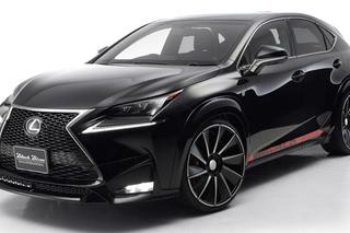 Lexus NX by Wald International