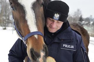Policjanci walczą o emeryturę dla... konia. Blue Baker przez 12 lat służył w konnym oddziale policji 