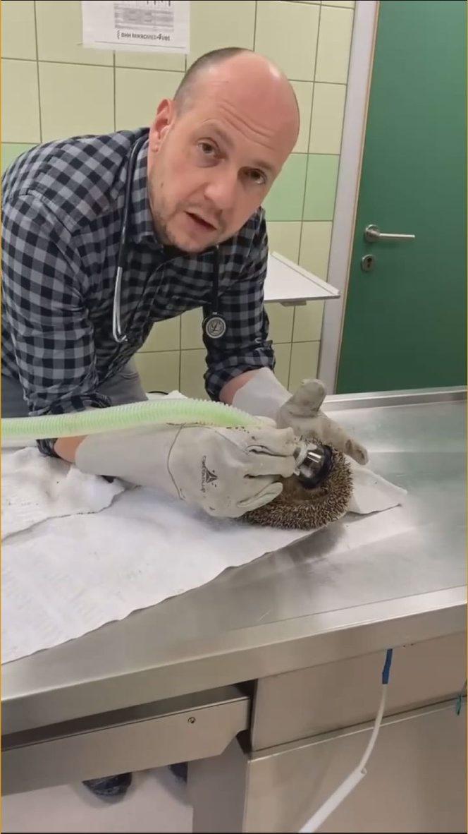 Wściekł się, bo wybudzili go ze snu