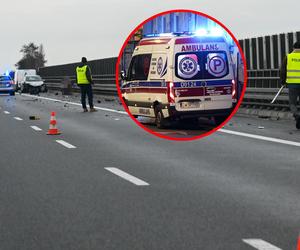 Wielki karambol na S10! Jedna osoba nie żyje. Zderzyło się pięć pojazdów, w tym trzy ciężarówki [AKTUALIZACJA]