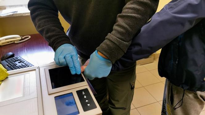 Zwyrodnialec wyrzucił psa z 8. piętra, bo zwierzę wskoczyło na stół