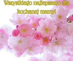 Dzień Matki