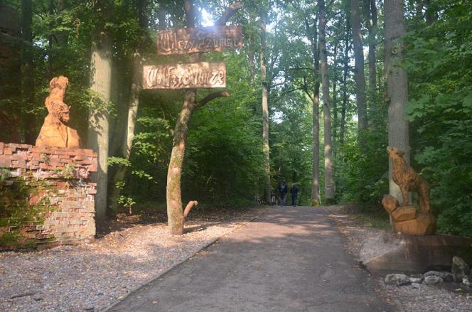 Wilczy Szaniec. Dokonano kolejnych znalezisk w dawnej kwaterze Hitlera w Gierłoży