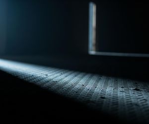 Wyciek danych w Wiszni Małej. Co dokładnie trafiło do sieci i jakie są konsekwencje?