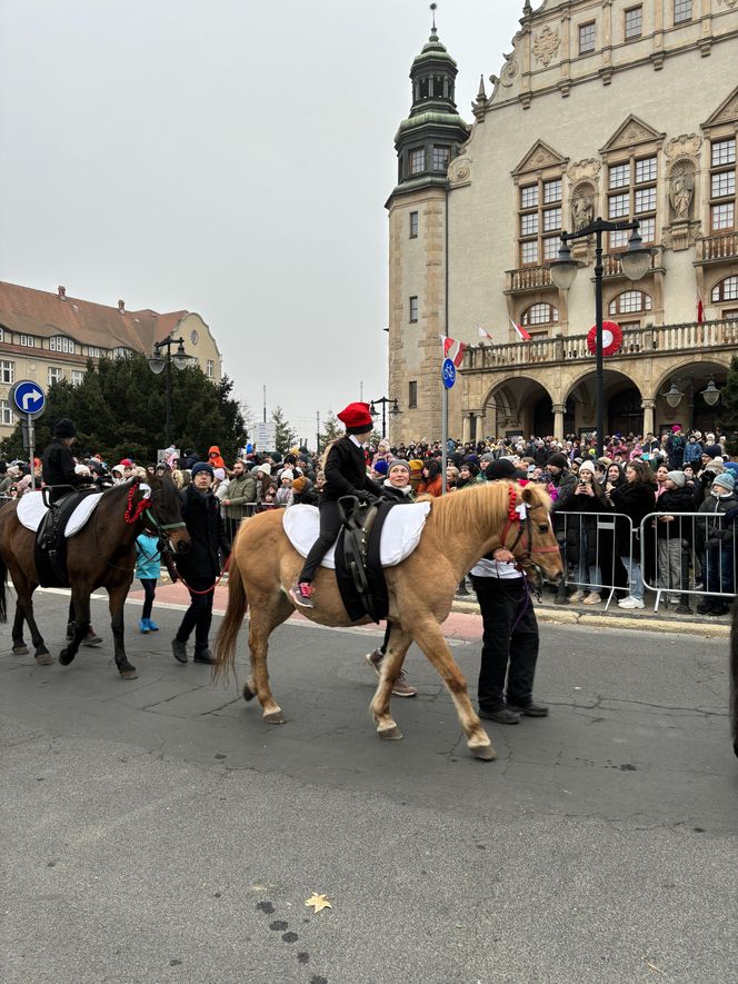  Korowód św. Marcina w Poznaniu 2024