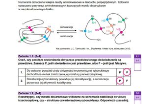 Matura biologia rozszerzona 2025 - wszystkie ODPOWIEDZI. Gotowe rozwiązania arkuszy CKE! [9.05.2025]