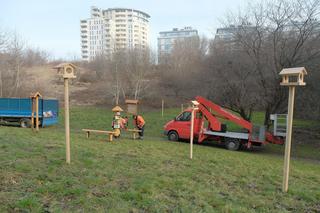 Leśny Korytarz na lubelskim Czechowie wzbogacił się o nowe drewniane elementy dla zwierząt