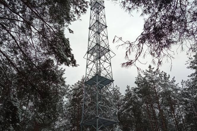 Jest najwyższą górą w powiecie leszczyńskim. Na jej szczycie stoi 37 metrowa wieża obserwacyjna. Góra św. Jadwigi, bo o niej mowa, to świetne miejsce na zimowy spacer [WIDEO/AUDIO/FOTO]
