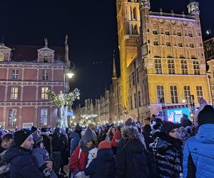 Gdańska choinka rozbłysła. Zobaczcie nasze zdjęcia!