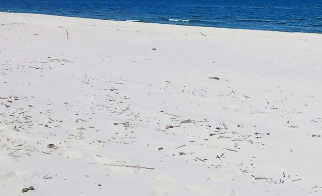 Wszedł do Bałtyku na niestrzeżonej plaży i utonął. Horror w Chłopach