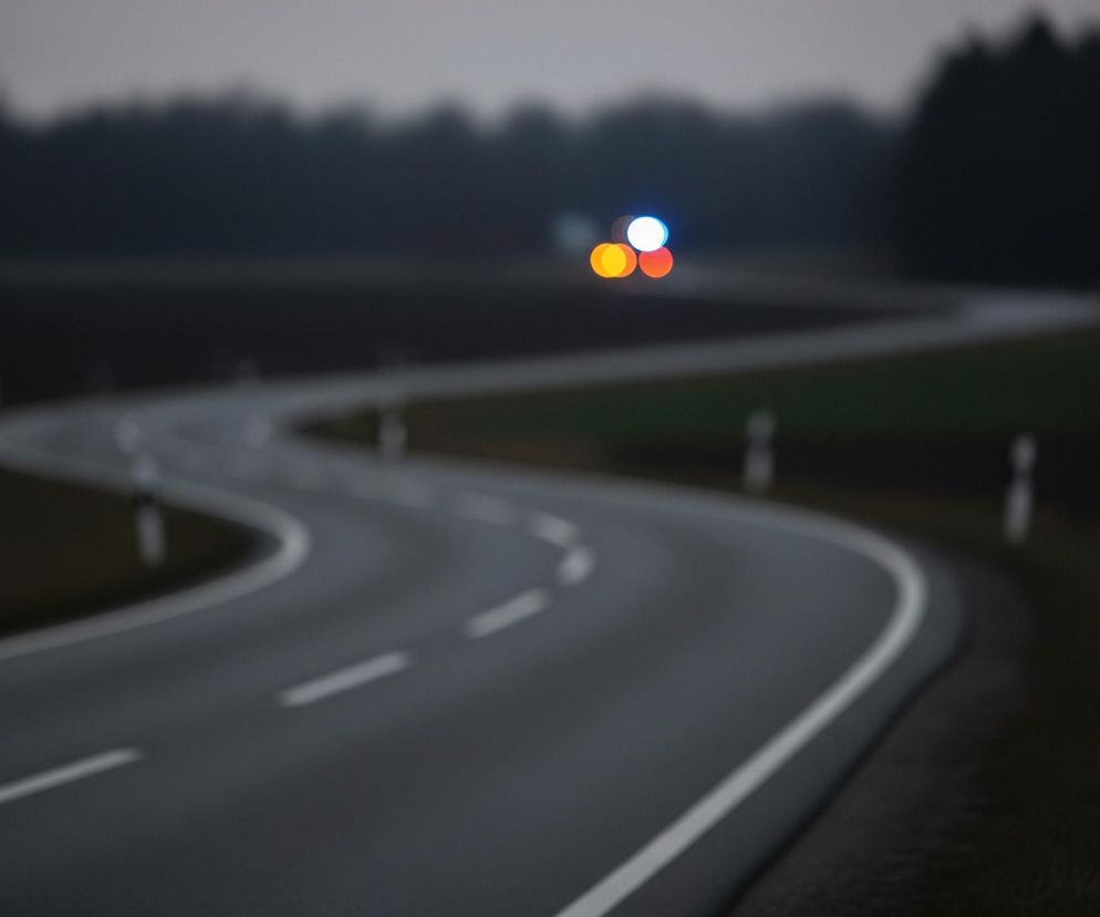 Ciemna, wijąca się asfaltowa droga z białymi liniami rozdzielającymi pasy ruchu i pobocze dominuje w kadrze, rozciągając się od dolnej prawej strony do górnego środka. W oddali, na końcu drogi, widoczne są trzy rozmyte plamy światła: jedna biała, jedna pomarańczowa i jedna czerwona. Po obu stronach drogi rozciągają się pola i ciemny, rozmazany las na horyzoncie pod szarym niebem, a wzdłuż pobocza stoją słupki odblaskowe.