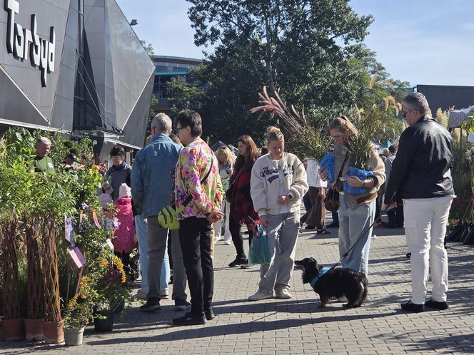 Jesienny Kiermasz Ogrodniczy w Bydgoszczy przyciągnął miłośników zieleni i smakołyków!