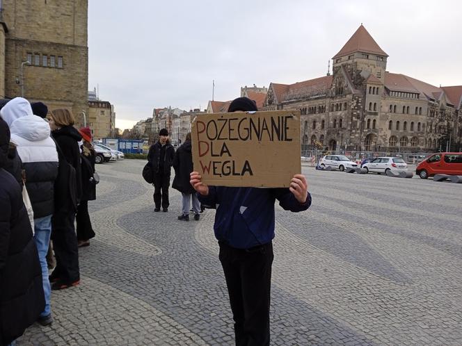 Młodzieżowy Strajk Klimatyczny w Poznaniu