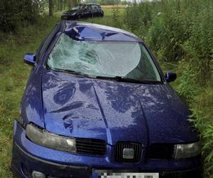 21 latka wróciła z pracy i zabiła nastolatka