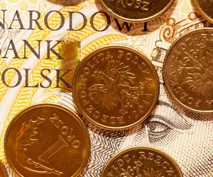 Nowe monety w Polsce! Jakie nominały będą dostępne? 