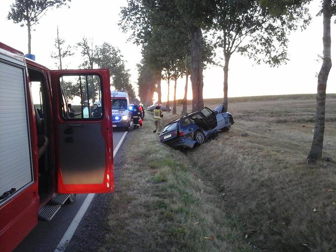 Kierowca BMW wypadł z drogi na zakręcie. Samochód uderzył w drzewo [ZDJECIA]