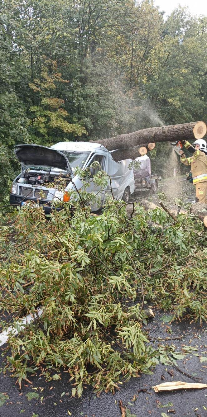 Gwałtowna burza nad Dolnym Śląskiem. Gradobicie, ulewa i mnóstwo zniszczeń