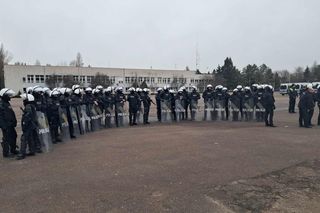 Atestacja koni służących w łódzkiej policji i straży miejskiej