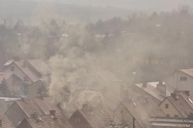 Mieszkańcy Lublina palą w piecach... śmieciami! Spalamy dosłownie wszystko