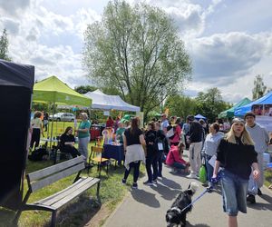 Festiwal Przyjaciół Zwierząt w Olsztynie. Park Centralny opanowały radosne pieski